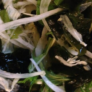 レタスとたまねぎと水菜とわかめのサラダ